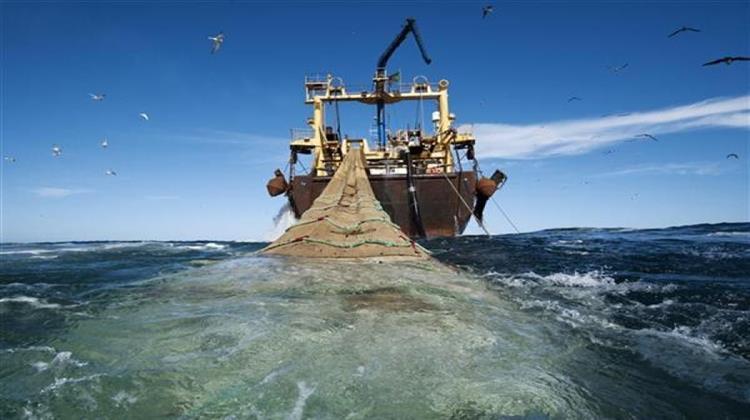 Υπεραλίευση και Κλιματική Αλλαγή Καταστρέφουν την Αλιεία